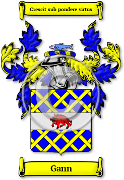 Gann Family Crest Download (jpg) Legacy Series - 150 DPI