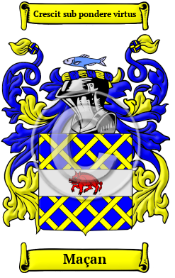Maçan Family Crest Download (JPG) Heritage Series - 300 DPI