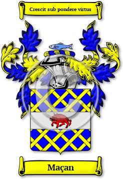 Maçan Family Crest Download (jpg) Legacy Series - 150 DPI