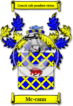Mc-cann Family Crest Download (jpg) Legacy Series - 150 DPI