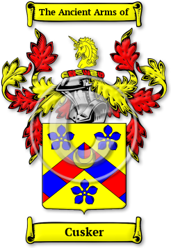 Cusker Family Crest Download (jpg) Legacy Series - 150 DPI