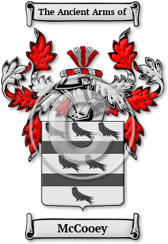 McCooey Family Crest Download (jpg) Legacy Series - 150 DPI