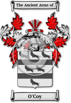 O'Coy Family Crest Download (jpg) Legacy Series - 150 DPI