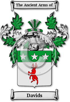 Davids Family Crest Download (JPG) Legacy Series - 600 DPI