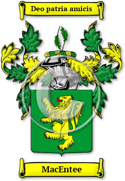 MacEntee Family Crest Download (jpg) Legacy Series - 150 DPI