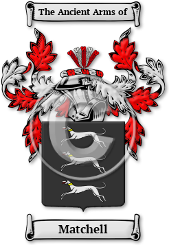 Matchell Family Crest Download (jpg) Legacy Series - 150 DPI