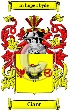 Ciant Family Crest/Coat of Arms