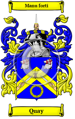 Quay Family Crest Download (JPG) Heritage Series - 600 DPI