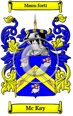 Mc Kay Family Crest/Coat of Arms