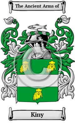Kiny Family Crest/Coat of Arms