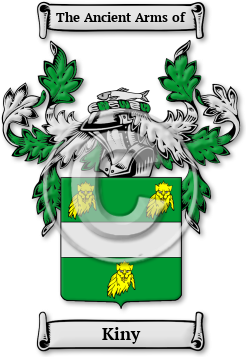 Kiny Family Crest Download (jpg) Legacy Series - 150 DPI