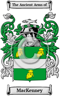 MacKenney Family Crest Download (JPG) Heritage Series - 600 DPI