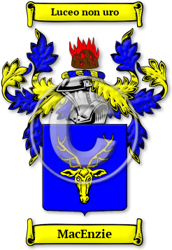 MacEnzie Family Crest Download (jpg) Legacy Series - 150 DPI