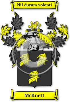McKnett Family Crest Download (JPG) Legacy Series - 600 DPI