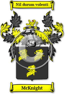 McKnight Family Crest Download (jpg) Legacy Series - 150 DPI
