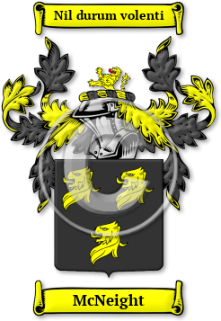 McNeight Family Crest Download (jpg) Legacy Series - 150 DPI