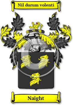 Naight Family Crest Download (jpg) Legacy Series - 150 DPI