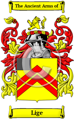 Lige Family Crest Download (JPG) Heritage Series - 600 DPI