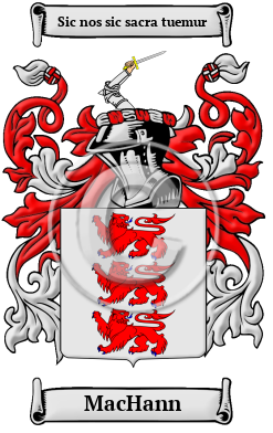 MacHann Family Crest/Coat of Arms