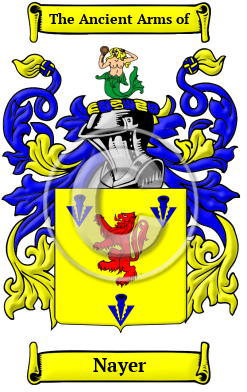 Nayer Family Crest Download (JPG) Heritage Series - 600 DPI