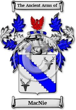 MacNie Family Crest Download (jpg) Legacy Series - 150 DPI