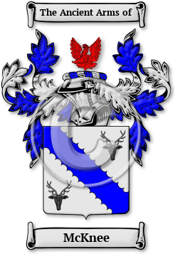 McKnee Family Crest Download (jpg) Legacy Series - 150 DPI