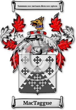 MacTaggue Family Crest Download (jpg) Legacy Series - 150 DPI