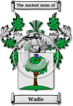 Wadie Family Crest Download (jpg) Legacy Series - 150 DPI
