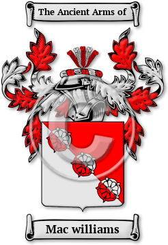 Mac williams Family Crest Download (jpg) Legacy Series - 150 DPI