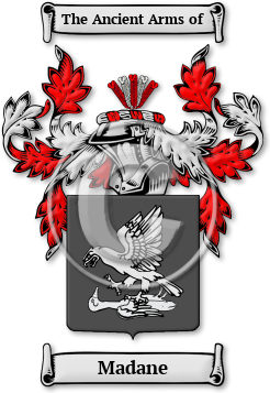 Madane Family Crest Download (jpg) Legacy Series - 150 DPI