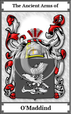 O'Maddind Family Crest Download (JPG) Book Plated - 600 DPI