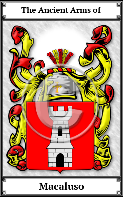 Macaluso Family Crest Download (JPG)  Book Plated - 150 DPI