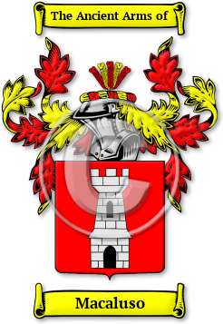 Macaluso Family Crest Download (jpg) Legacy Series - 150 DPI