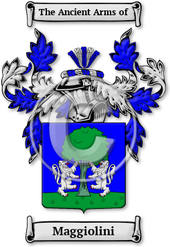 Maggiolini Family Crest Download (jpg) Legacy Series - 150 DPI
