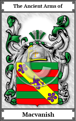 Macvanish Family Crest Download (JPG)  Book Plated - 150 DPI