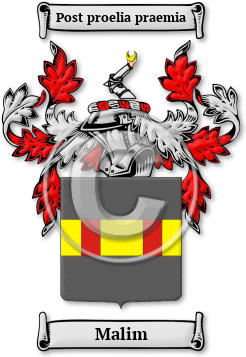 Malim Family Crest Download (jpg) Legacy Series - 150 DPI