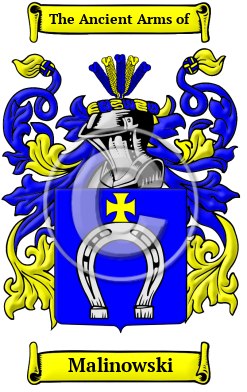 Malinowski Family Crest/Coat of Arms