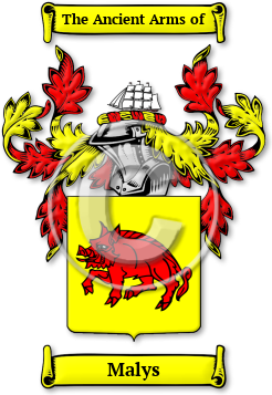 Malys Family Crest Download (jpg) Legacy Series - 150 DPI