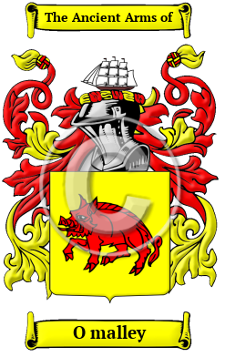 O malley Family Crest/Coat of Arms
