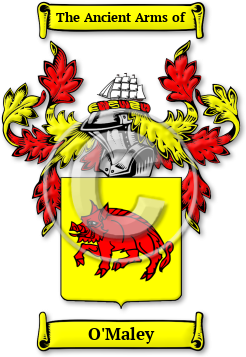 O'Maley Family Crest Download (jpg) Legacy Series - 150 DPI
