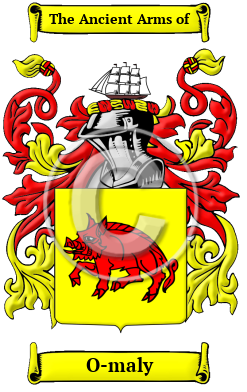 O Maly Name Meaning Family History Family Crest Coats Of Arms