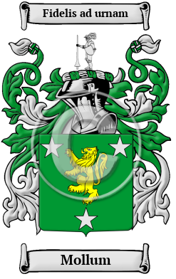 Mollum Family Crest/Coat of Arms