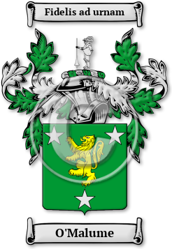 O'Malume Family Crest Download (jpg) Legacy Series - 150 DPI
