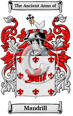 Mandrill Family Crest Download (jpg) Heritage Series - 150 DPI