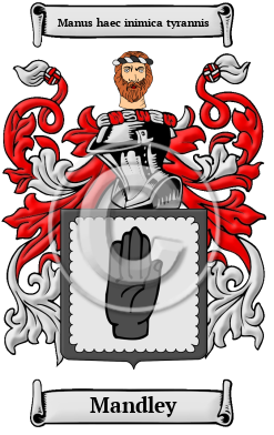 Mandley Family Crest/Coat of Arms