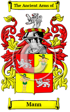 Mann Family Crest Download (JPG) Heritage Series - 600 DPI