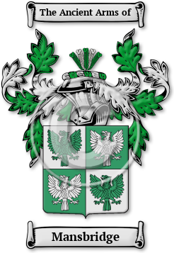 Mansbridge Family Crest Download (jpg) Legacy Series - 150 DPI