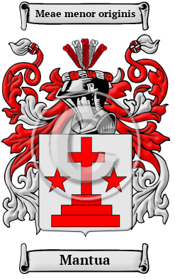 Mantua Family Crest Download (JPG) Heritage Series - 600 DPI