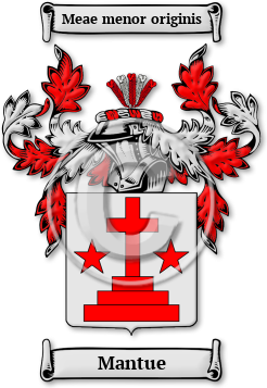 Mantue Family Crest Download (jpg) Legacy Series - 150 DPI