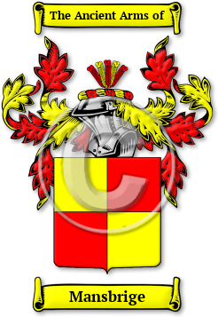 Mansbrige Family Crest Download (JPG) Legacy Series - 600 DPI